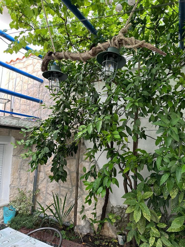 Vila Katica Брибир Екстериор снимка