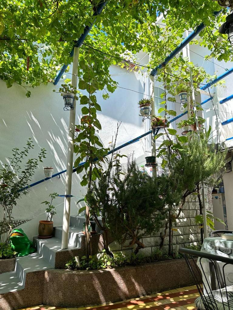 Vila Katica Брибир Екстериор снимка